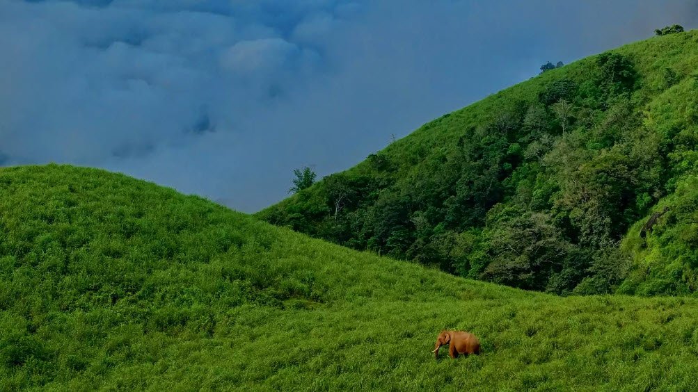Gudalur, Nilgiris, Tamil Nadu - Vushii.com Gudalur, Nilgiris, Tamil Nadu - Vushii.com